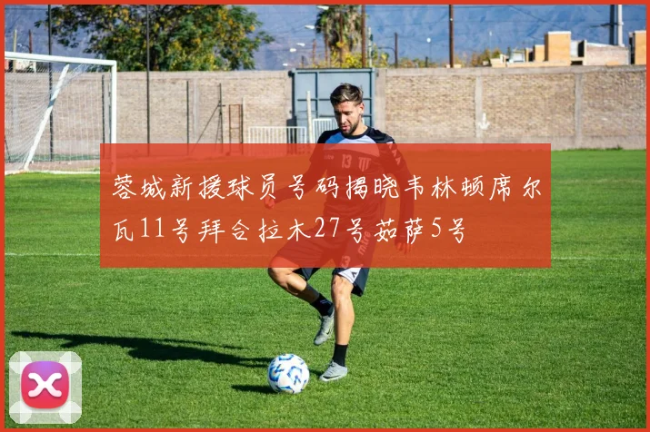 蓉城新援球员号码揭晓韦林顿席尔瓦11号拜合拉木27号茹萨5号