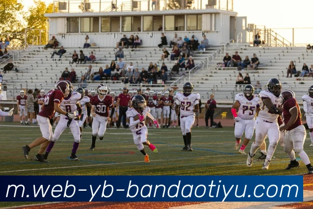 App Interface Preview