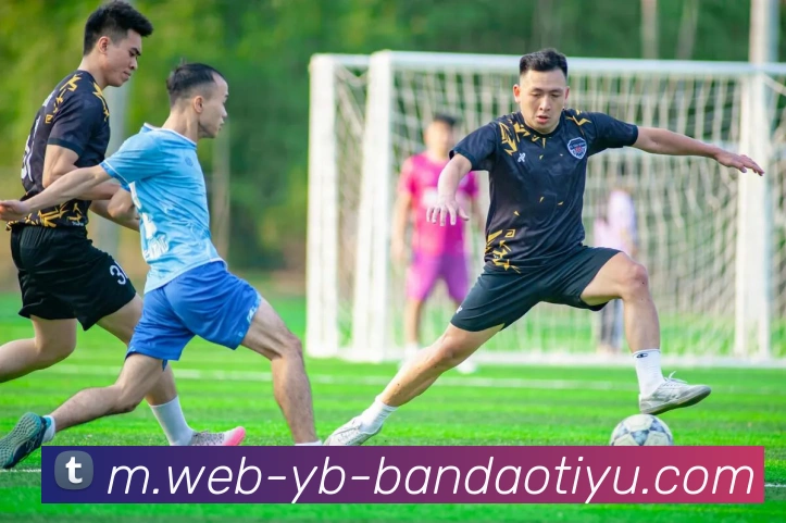 半岛体育APP 封面图